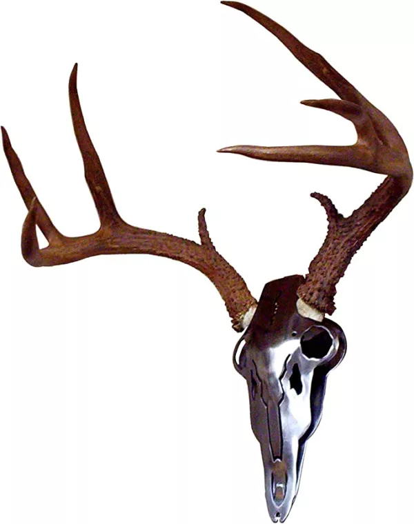 Dead Deer Iron Buck Skull Hanger Deer Skull Hooks Easy Installation for Living Room Bedroom Home Decor Indoor and Outdoor Use - Image 4