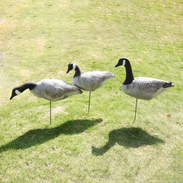 XPE Goose Decoy Garden Decoration Standing Feeding Resting 3D Foldable Full-Size Fullbody Canada-Goose Hunting Decoy - Image 6