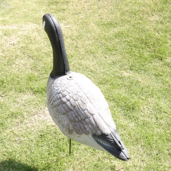 XPE Goose Decoy Garden Decoration Standing Feeding Resting 3D Foldable Full-Size Fullbody Canada-Goose Hunting Decoy - Image 4