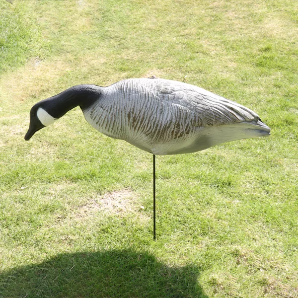 XPE Goose Decoy Garden Decoration Standing Feeding Resting 3D Foldable Full-Size Fullbody Canada-Goose Hunting Decoy - Image 3