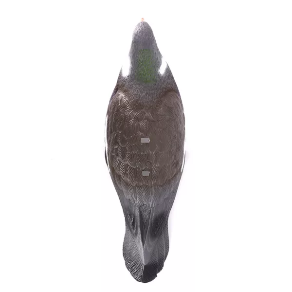 Hunting Plastic Half Shell Pigeon Decoy with Built Stake Garden and home decoration plastic simulation Pigeon - Image 6