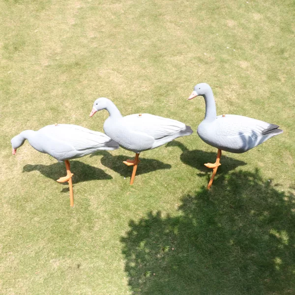 XPE Foam Dummy Goose Feeding Resting Standing Goose Garden Decoration 3D Foldable Lifelike FullBody Goose Hunting Shooting Decoy - Image 6