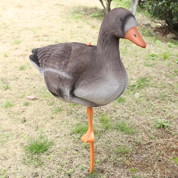 2020 Hot Sell Hunting Equipment Flocking Resting Full-Size   Collapsible 3D Foldable XPE Goose Foam Goose Decoy - Image 5